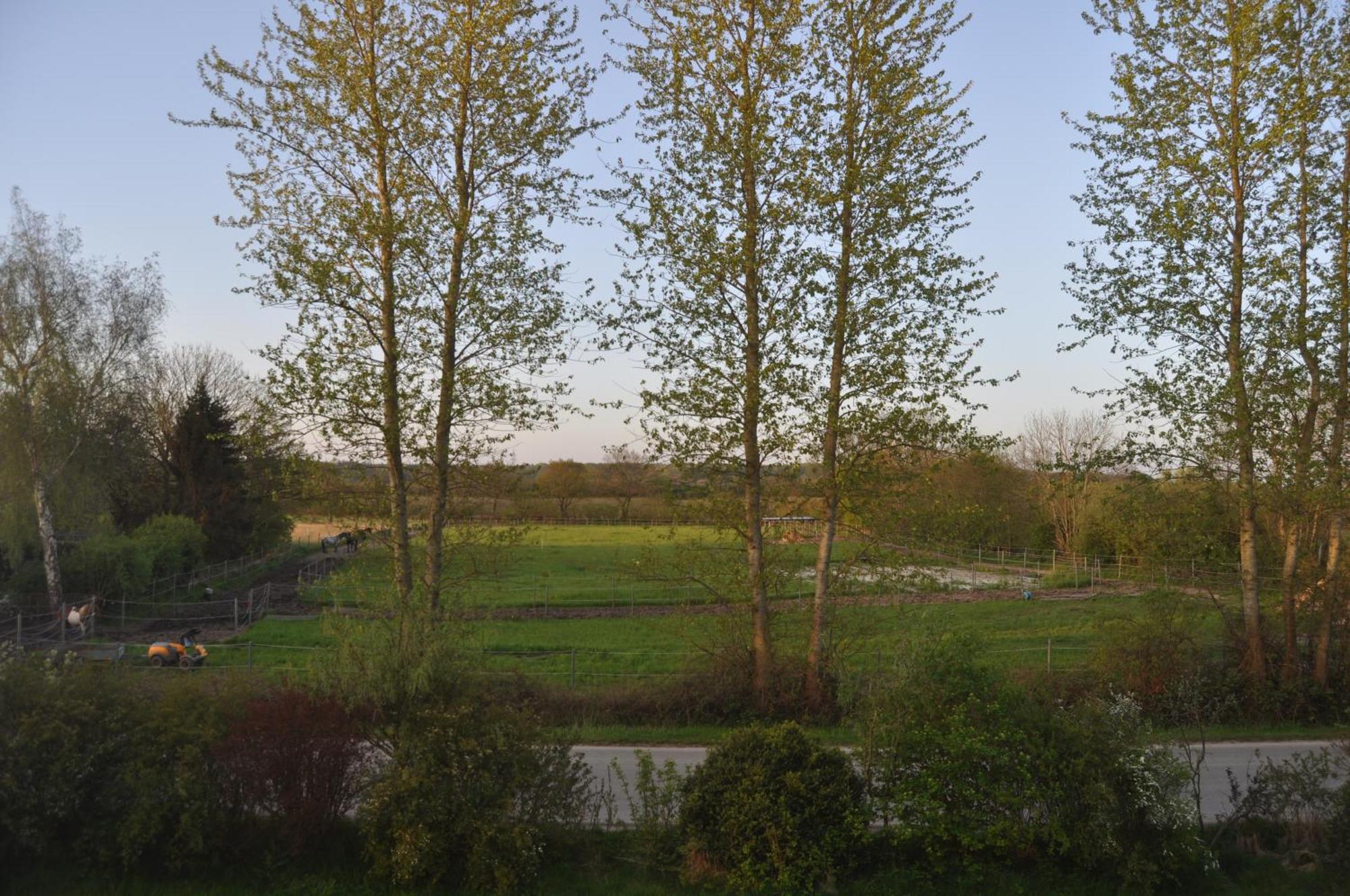 Ferienwohnung Kleiner Und Grosser Stern Stoltebüll Exterior foto
